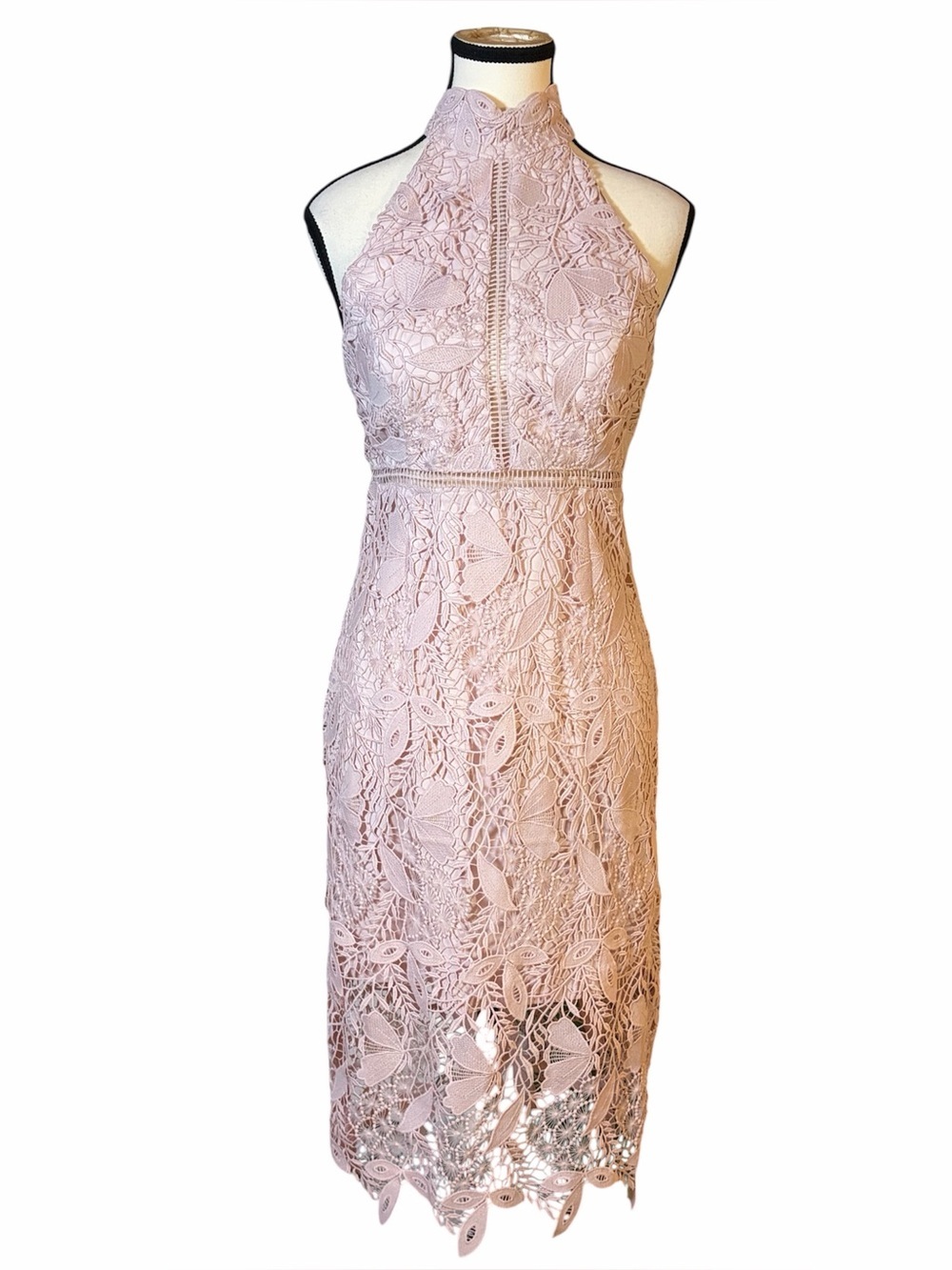Bardot Willow Floral Lace Dress Soft Pink  Halter Sheath Cocktail Party Size 8